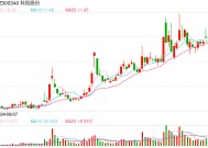 科恒股份主业连亏5年负债率飙升至95% 格力系"关联交易+定向输血"仍独木难支