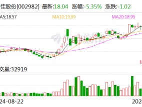 湘佳股份前三季度利润分配预案：拟10派2元