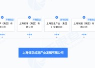 打造“天空之城”！上海低空经济产业发展有限公司成立  国资国企“地方队”齐聚