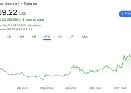 特斯拉投资者会议：2015H1推新车型、全年销量增长目标20-30%，算力推动FSD大幅提升、自动驾驶在欧美无对手