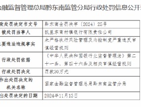 凯里东南村镇银行被罚30万元：未严格执行风险管理及内控制度严重违反审慎经营规则