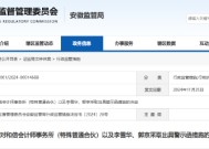 监管出手！和信所及两名会计师被出具警示函