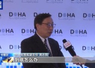 专家：叙利亚局势突变给中东地区带来更多不稳定性