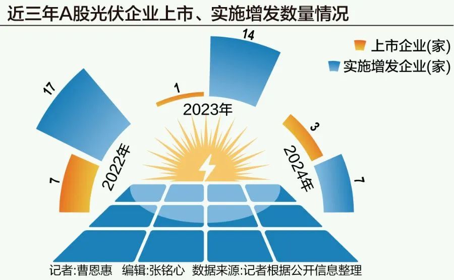 “失血”的光伏，2025年等待“回血”